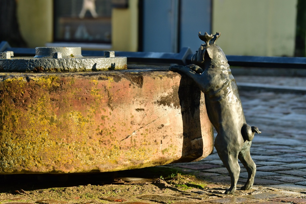 2026-01-08 Brandenburg an der Havel/Waldmöpse/DSC_2276.JPG